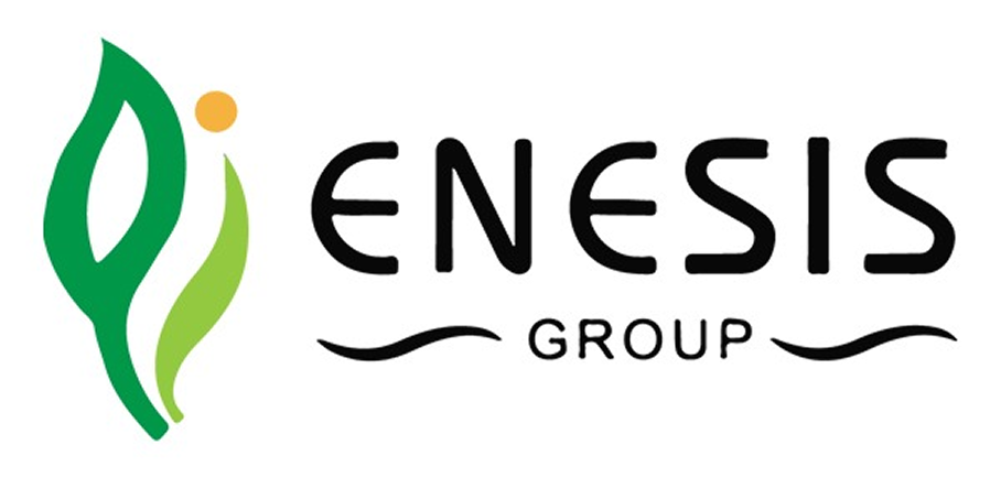 PT SARI ENESIS INDAH